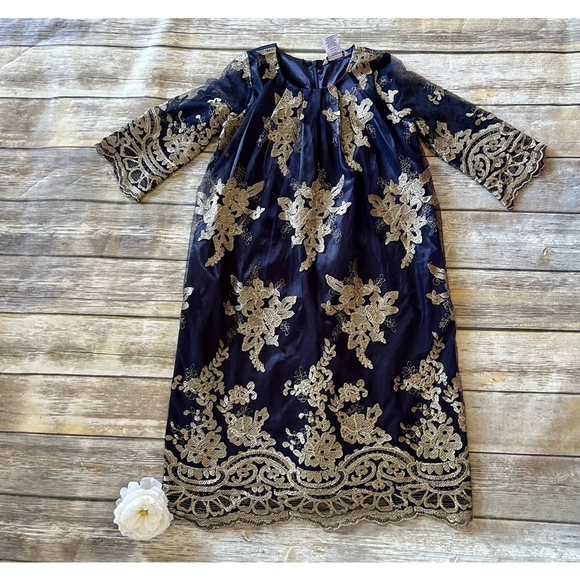 CHASING FIREFLIES STUNNING DRESS-SIZE 10/12 - Picture 1 of 9